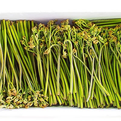 森田醤油醸造元　山菜味噌　山裾の300g×3