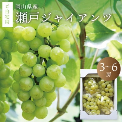 真庭市産 瀬戸ジャイアンツ 自宅用3～6房【seto02】