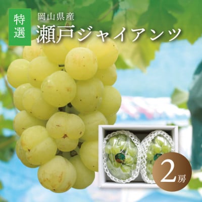 真庭市産 瀬戸ジャイアンツ 大房特選2房 【seto06】