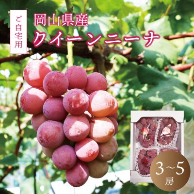 クイーンニーナ ご自宅用 2kg前後【queennina02】