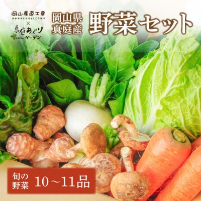 真庭あぐり野菜セット カット野菜が1品入る10～11品【yasai015】