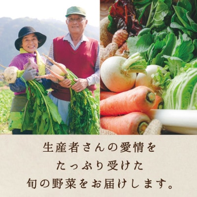 真庭あぐり野菜セット カット野菜が1品入る10～11品【yasai015】