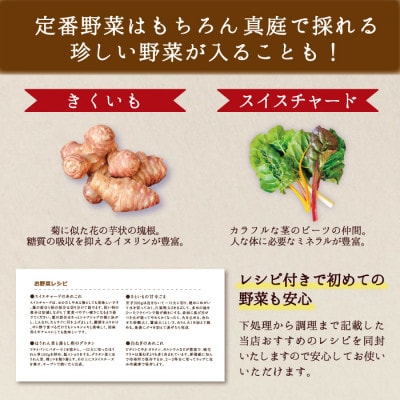 真庭あぐり野菜セット カット野菜が1品入る10～11品【yasai015】