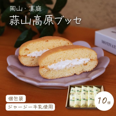 槙本風味堂 高原ブッセ10個入り【makimoto05】