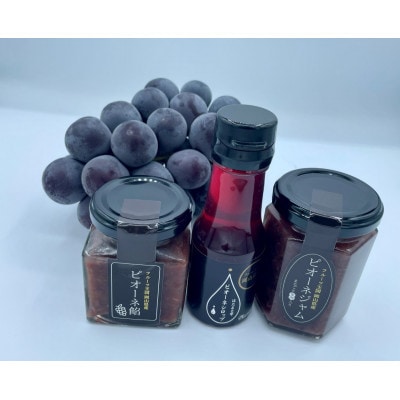 【発送月固定定期便】9月～12月 大粒ぶどうの詰め合わせ全4回