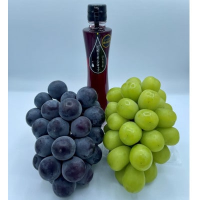 【発送月固定定期便】9月～12月 大粒ぶどうの詰め合わせ全4回