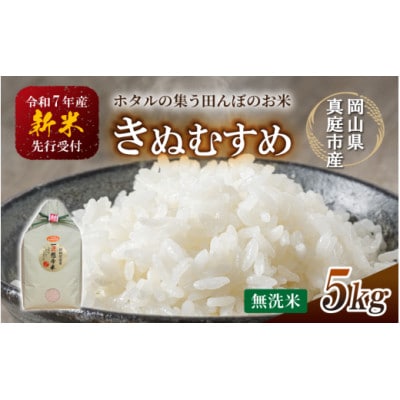 【令和7年産】真庭市産 きぬむすめ　無洗米5kg