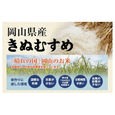 【令和7年産】真庭市産 きぬむすめ　無洗米5kg