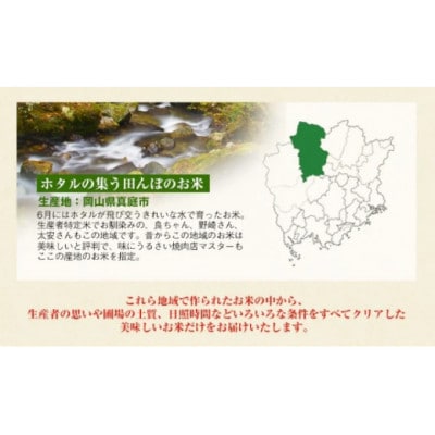 【令和7年産】真庭市産 きぬむすめ　無洗米5kg