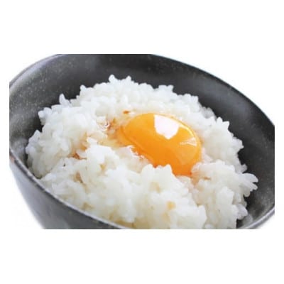 【令和7年産】真庭市産 きぬむすめ　無洗米5kg