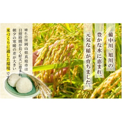 【令和7年産】真庭市産 ひとめぼれ 無洗米 5kg