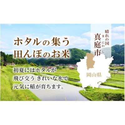 【令和7年産】真庭市産 ひとめぼれ 無洗米 5kg