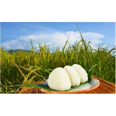 【令和7年産】真庭市産 ひとめぼれ 無洗米 5kg