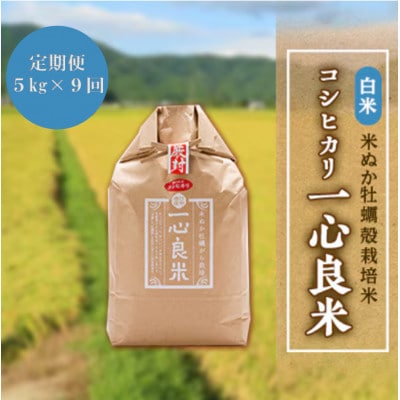 【毎月定期便】米ぬか牡蠣殻栽培米コシヒカリ『一心良米』白米5kg全9回