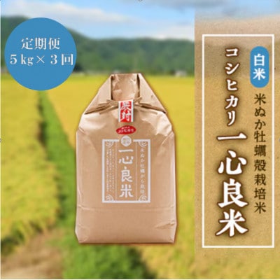 【毎月定期便】米ぬか牡蠣殻栽培米コシヒカリ『一心良米』白米5kg全3回