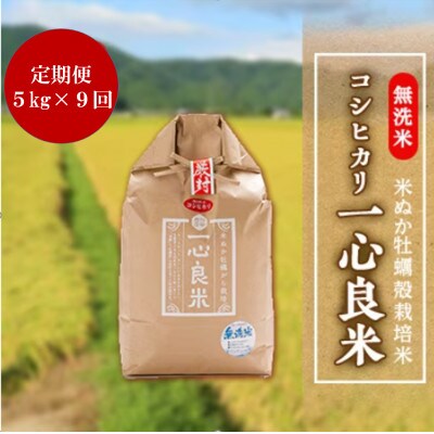 【毎月定期便】米ぬか牡蠣殻栽培米コシヒカリ『一心良米』無洗米5kg全9回