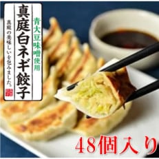 真庭白ネギ餃子　48個 | ふるさと納税のお礼品