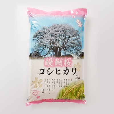 醍醐桜コシヒカリ　5kg