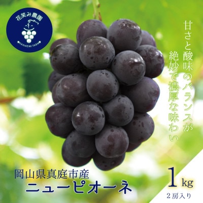 【2026年先行受付】岡山　花笑み農園の『ニューピオーネ』1kg(2房)　P-1