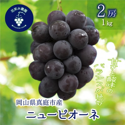 【2026年先行受付】岡山　花笑み農園の『ニューピオーネ』1kg(2房)　P-1