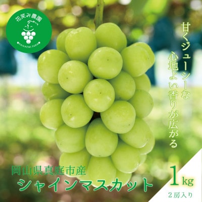 岡山　花笑み農園の 『シャインマスカット』1kg(2房)　S-1【9月下旬～順次発送】