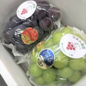 岡山県 果物 フルーツ 人気特産品おすすめランキング 週間 ふるさと納税サイト さとふる 岡山県 果物 フルーツ 人気特産品おすすめランキング 週間 ふるさと納税サイト さとふる