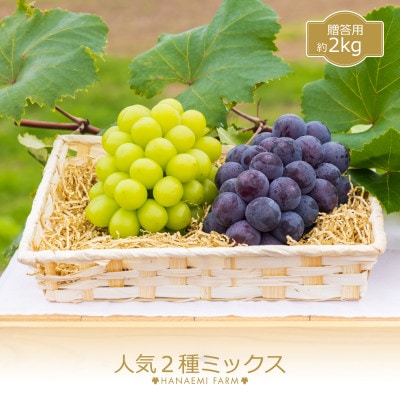岡山　花笑み農園のブドウ『ピオーネ&シャインマスカット』約2kg　2M-2