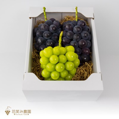 岡山　花笑み農園のブドウ『ピオーネ&シャインマスカット』約2kg　2M-2