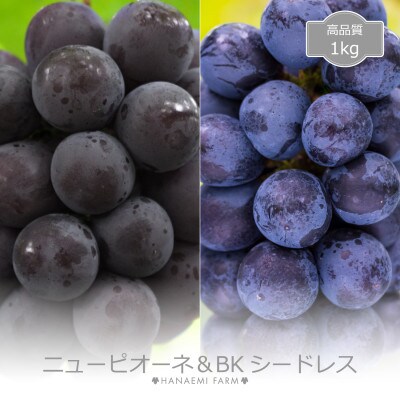岡山 花笑み農園の『ピオーネ&BKシードレス』1kg(2房)PBK-1