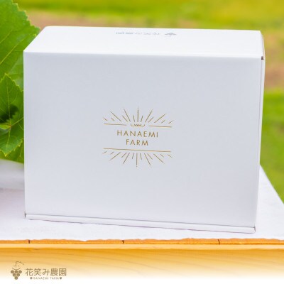 岡山 花笑み農園の『ピオーネ&BKシードレス』1kg(2房)PBK-1