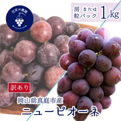 【2026年先行受付】岡山　花笑み農園の 『訳ありニューピオーネ』1kg　WP-1