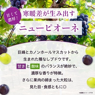 岡山　花笑み農園の 『訳ありニューピオーネ』1kg　WP-1【9月上旬～順次発送】