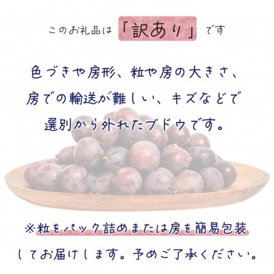 【2026年先行受付】岡山　花笑み農園の 『訳ありニューピオーネ』1kg　WP-1