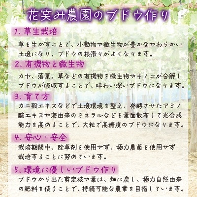 岡山　花笑み農園の 『訳ありニューピオーネ』1kg　WP-1【9月上旬～順次発送】