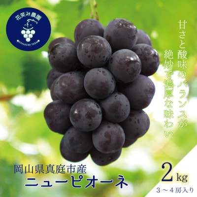 岡山　花笑み農園の『ニューピオーネ』約2kg(3～4房)　P-2【9月上旬～順次発送】
