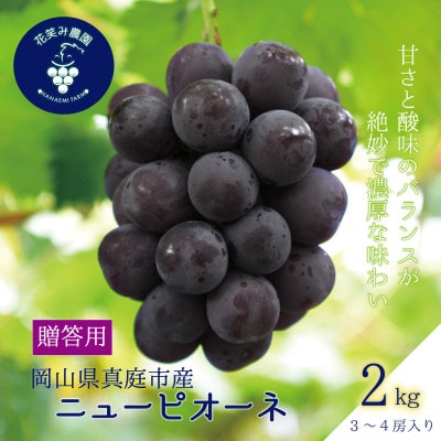 【2026年先行予約】岡山　花笑み農園の『ニューピオーネ』贈答用　約2kg(3～4房)　P-2上