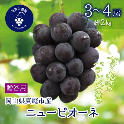 【2026年先行予約】岡山　花笑み農園の『ニューピオーネ』贈答用　約2kg(3～4房)　P-2上