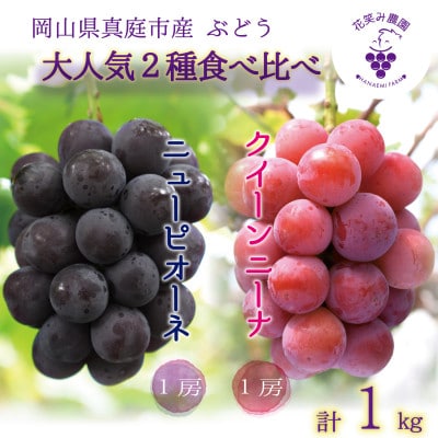 岡山　花笑み農園の『ニューピオーネ&クイーンニーナ』1kg(2房)　PQ-1【9月中旬～順次発送】