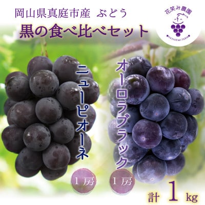 岡山　花笑み農園の『ニューピオーネ&オーロラブラック』1kg(2房)　PA-1【9月上旬～順次発送】