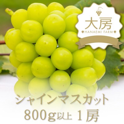 岡山　花笑み農園のブドウ 『シャインマスカット』800g～1kg(大1房)S-大1