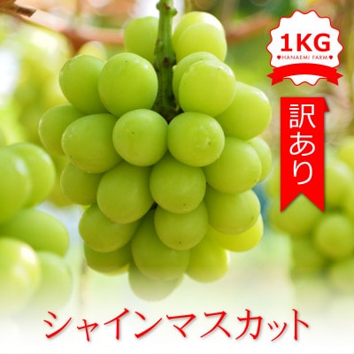 岡山　花笑み農園のブドウ 『訳ありシャインマスカット』1kg　WS-1