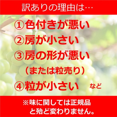 岡山　花笑み農園のブドウ 『訳ありシャインマスカット』1kg　WS-1