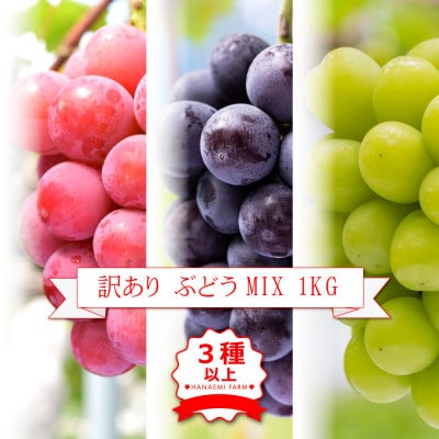 岡山　花笑み農園のブドウ『訳ありMIX3種以上』1kg　W3M-1