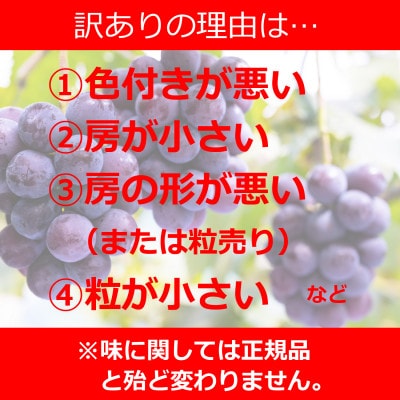 岡山　花笑み農園のブドウ『訳ありMIX3種以上』1kg　W3M-1