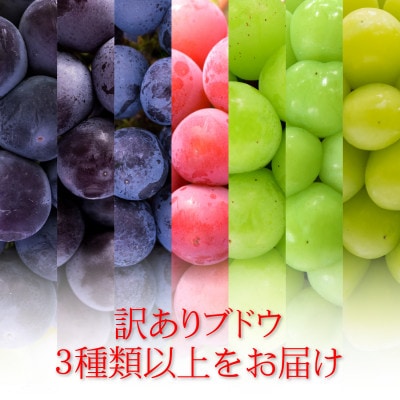 岡山　花笑み農園のブドウ『訳ありMIX3種以上』1kg　W3M-1