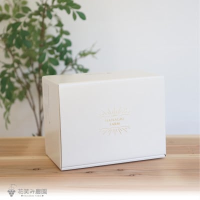 岡山　花笑み農園のブドウ『訳ありMIX3種以上』1kg　W3M-1