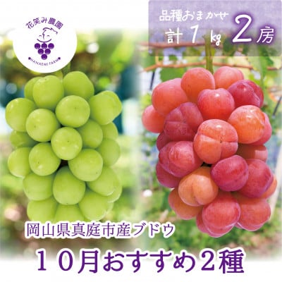 【2026年先行受付】岡山　花笑み農園のブドウ『10月おすすめ2種セット』1kg(2房)　2M-1L
