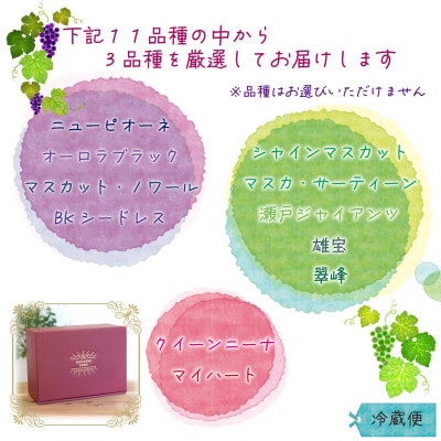 岡山　花笑み農園のブドウ『10月おすすめ 3種セット』(3房)3M-2L【10月～順次発送】
