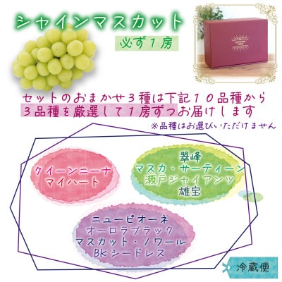 岡山　花笑み農園のブドウ『食べ比べ4種セット』シャイン入り　(4房)　4M-2【9月中旬～順次発送】