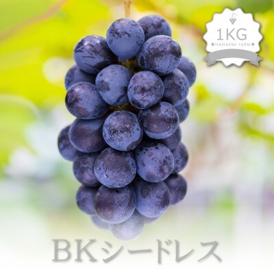 岡山 花笑み農園のブドウ『BKシードレス』1kg(2～3房)BK-1
